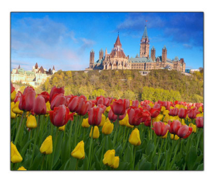 DEAN RYAN Enterprises Inc photo 7